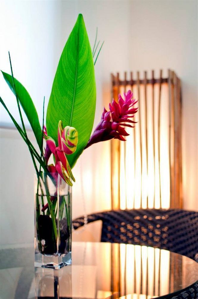 Natures Garden Park Resort And Spa Lapu-Lapu City Esterno foto